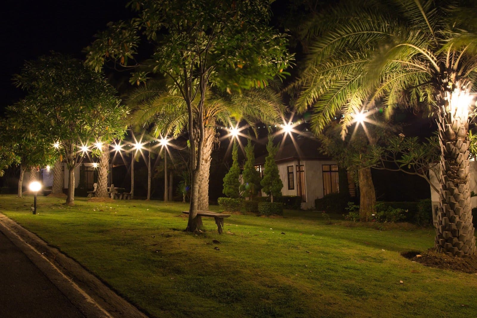 Laan met sfeerverlichting in de avond