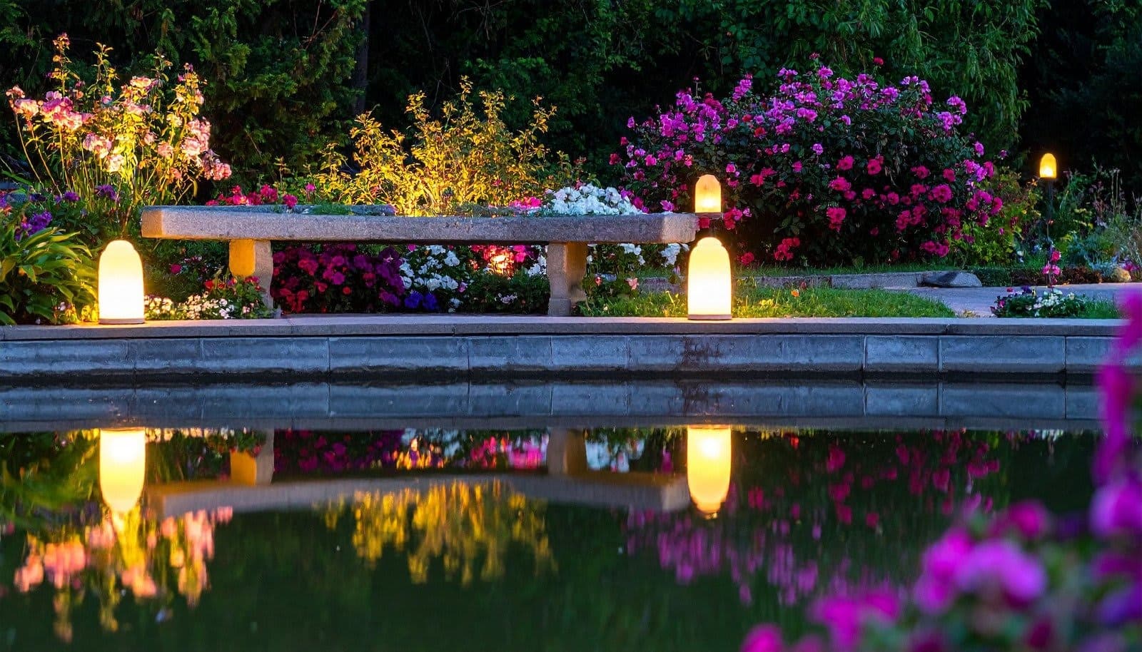 Tuinvijver en border verlicht in de avondschemering